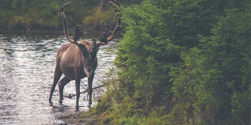 从田间到餐桌:大唐农业如何以产业链延伸撬动有机食品千亿市场