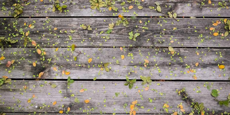 从田间到餐桌的信任之路：深度解析大唐有机农业认证标准与智慧化流程