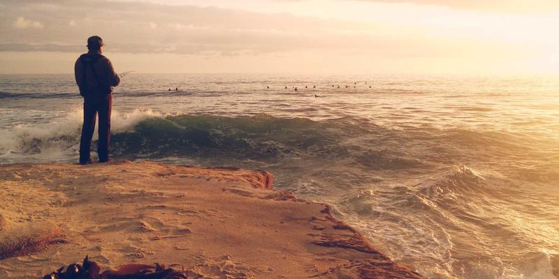 从田间到餐桌的智慧守护：大唐农产品冷链物流体系的科技革命与有机未来