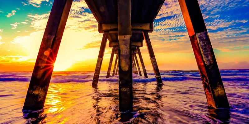 从田间到餐桌的智慧革命:大唐农业如何用社会化服务为小农户撬动千亿级有机市场