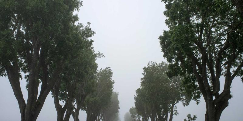 从田间到餐桌的智慧革命：大唐农业如何用科技重塑有机食品产业链