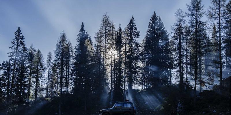 从种子到餐桌的革命：大唐农业区块链如何重塑绿色有机食品的信任基石