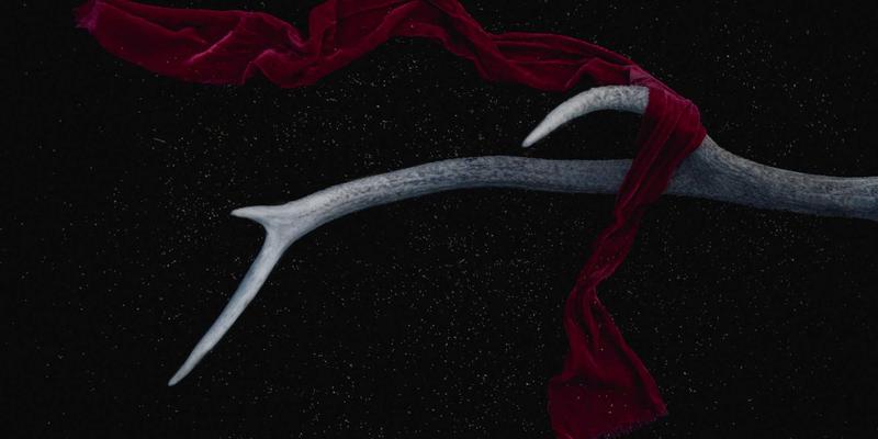 大唐农业水肥一体化智能系统：科技赋能，在节水节肥中实现有机作物品质与产量双提升