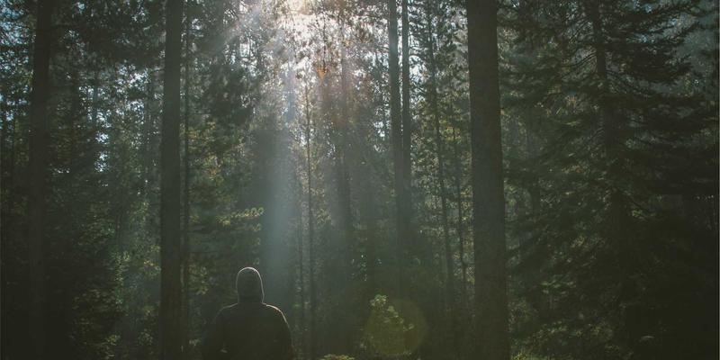 大唐农业：用生物多样性筑起生态防线，智慧农业如何让有机食品更安全